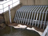 wasserstand