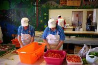 photo_009