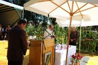 photo_005