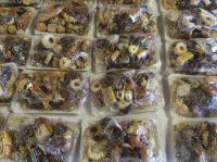 photo_006