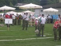 Foto_13