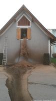 Foto_14